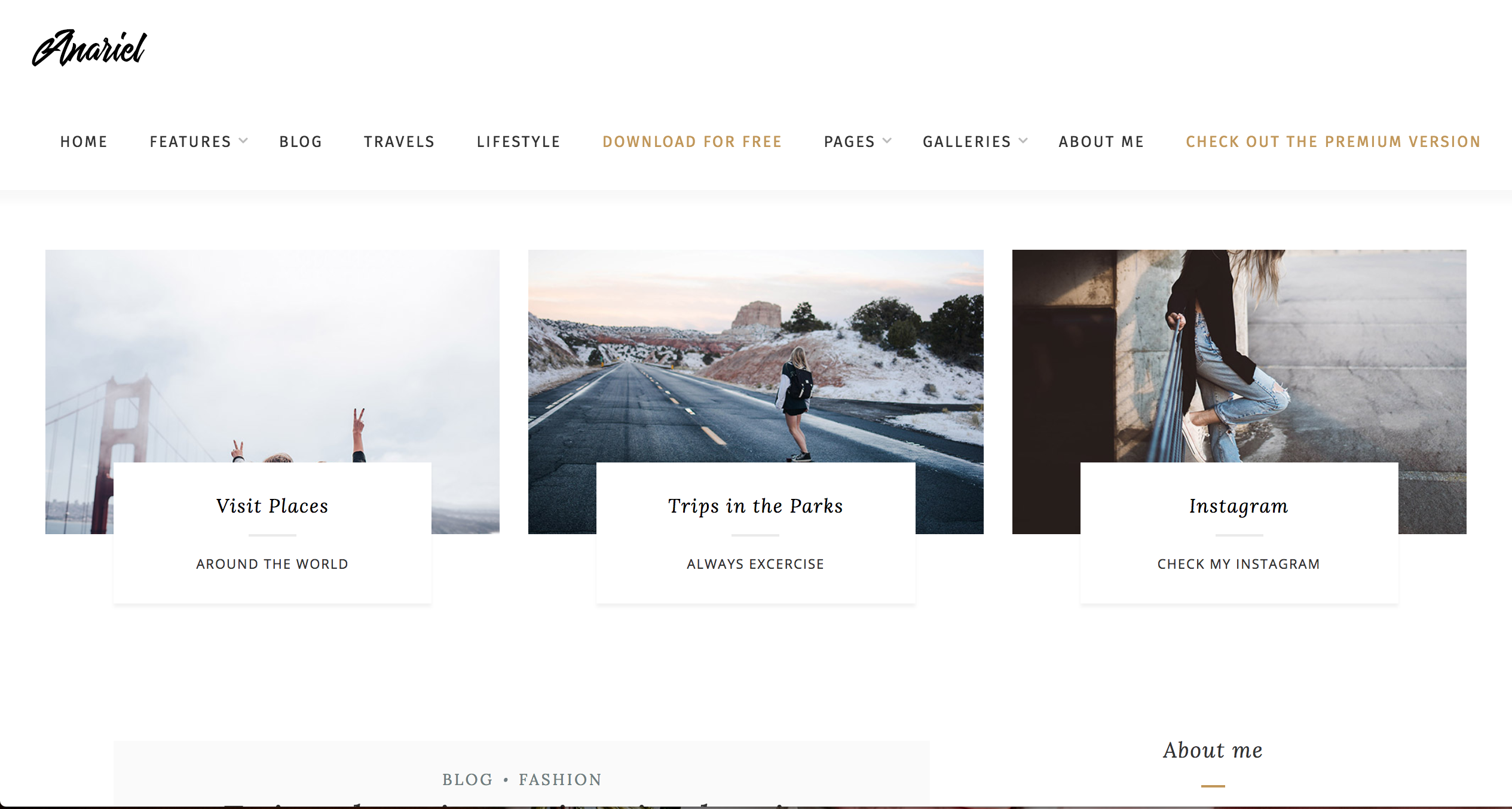 Anariel Lite Free Theme WordPress