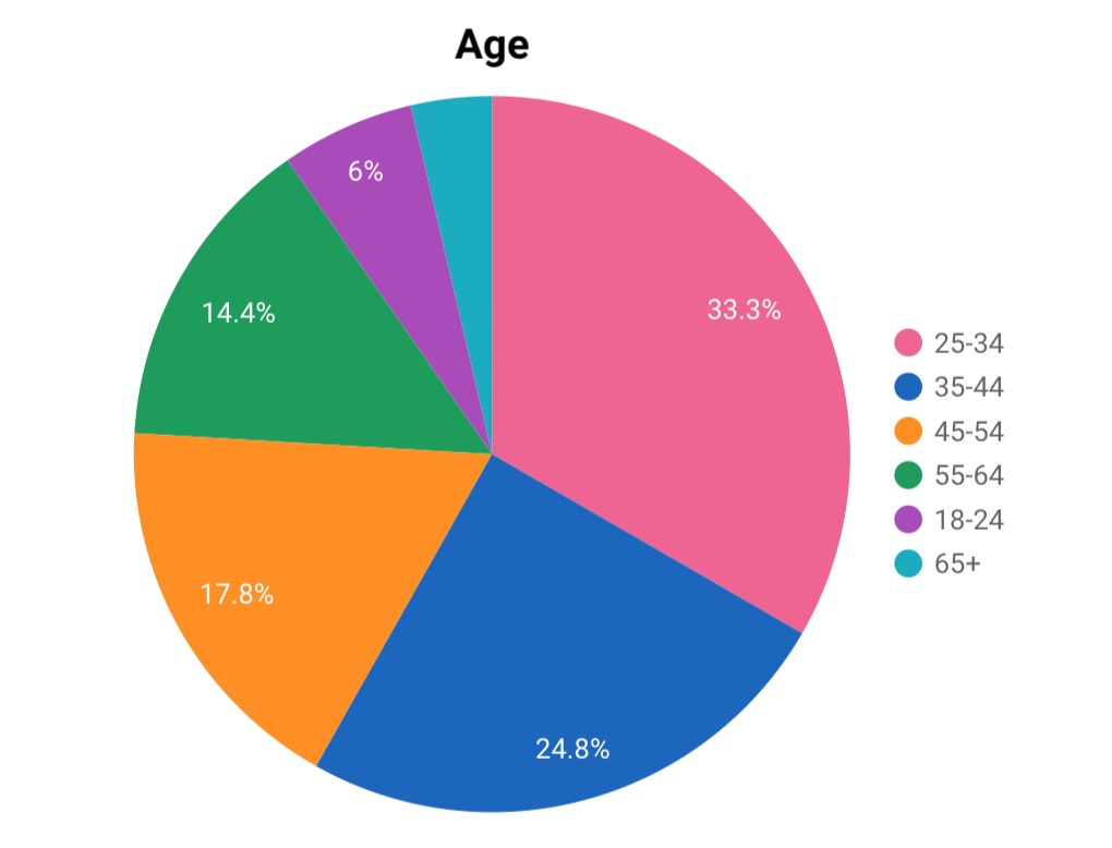 2018 Blog Audience By Age