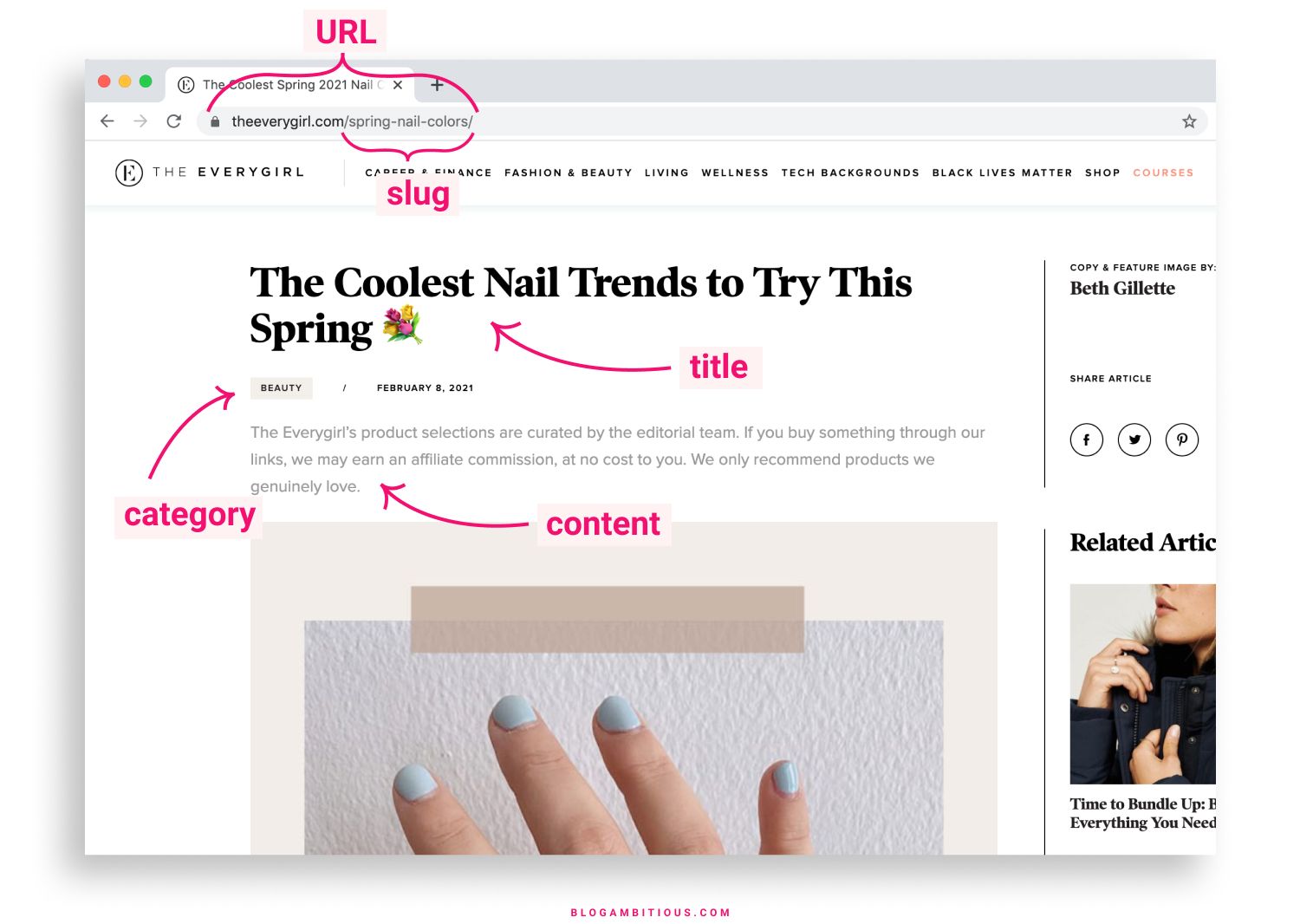 Anatomy of a Blog Post - URL, Slug, Title, Category, Content - How to write your first blog posts for beginners